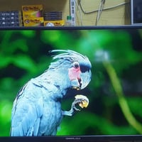 جنرال جولد • سمارت • ٣٢بوصة