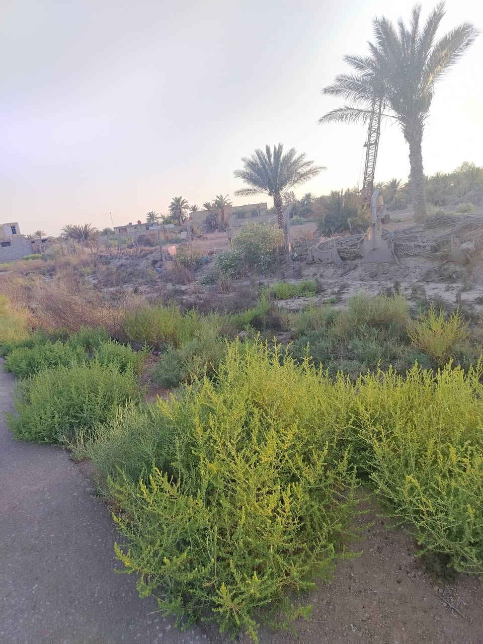 قطعه ارض 100 متر في زبيد
تتوفر خدمات ماي وكهرباء  
ونت ومدرسه ابتدائية ومتوسطه واعداديه واسواق 
للتواصل خاص 
او رقم الواتساب:  ***********
رقم الخط: ***********
