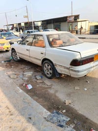 مارك كصيف • بصرة • خصوصي