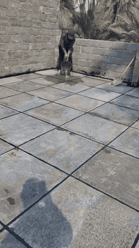 كير شعر • شتايكر • حي العباس كربلاء