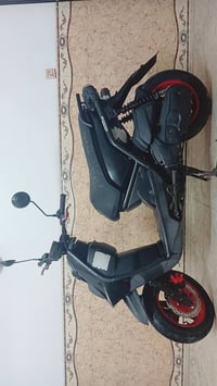 دراجة سكنس • جبلي • ٥أشهر