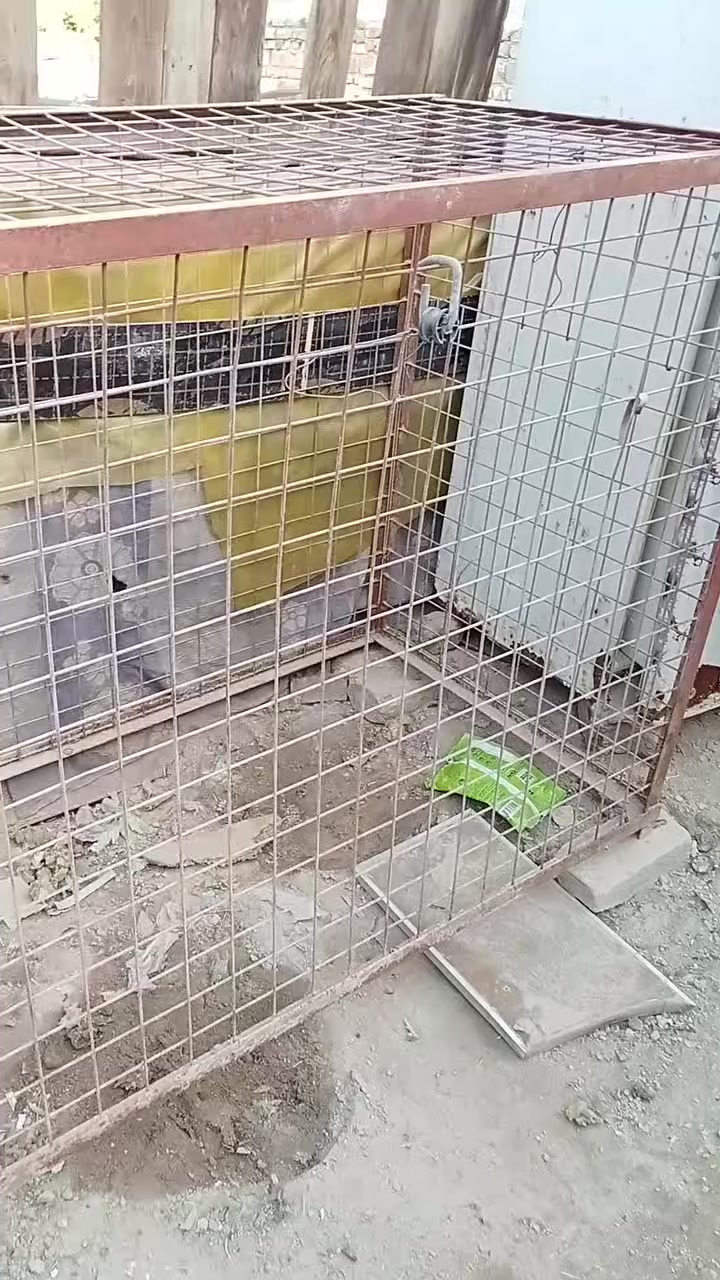 البيع بسعر مناسب حط سعر وخذا


**إذا كنت صاحب هذا الإعلان وتريد حذفه لأي سبب، رجاءا أرسل رسالة إلى الدعم الفني**