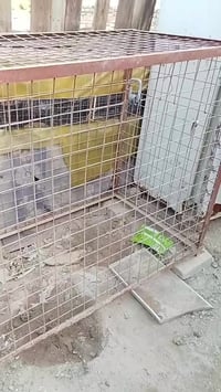 ديكور منزل • سعر مناسب • قابل تفاوض