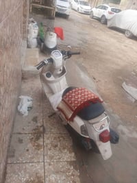 بوليس • نضيفه • زِنون