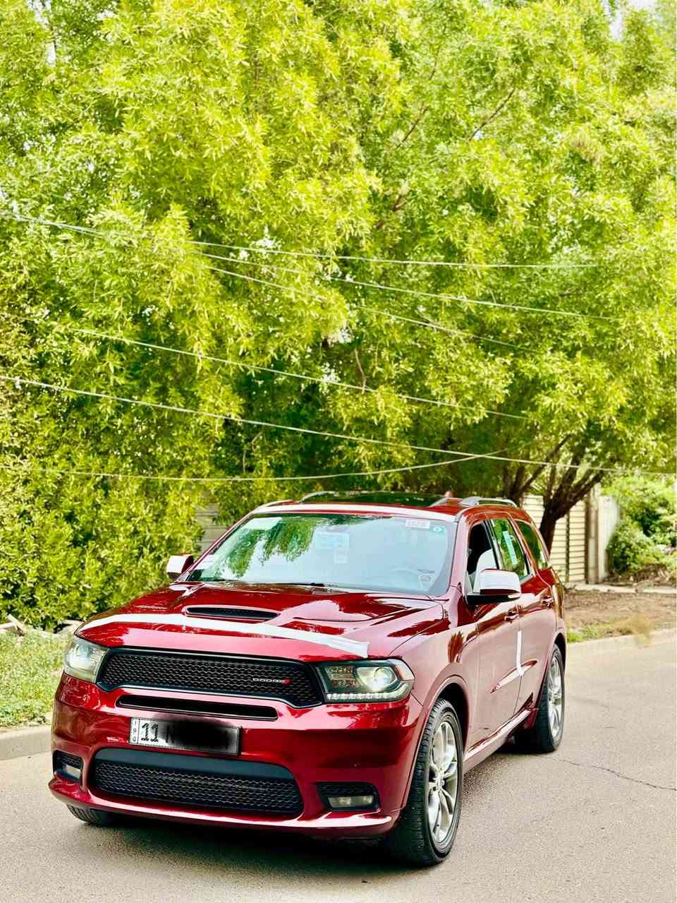 سلام عليكم بيع او مراوس

دوج دورنكو 2020  GT وكالة هارلم شكل السبورت خليجي مكفوله من  صبغ بيه مكانين بارد رقم بغداد ب اسمي سنويه هزه جديد ماشيه 50  الف 

مواصفات  GT
سلايد
بصمه 
كامره 
تشغيل عن بعد 
بنيد فتحات 
جنطه كهرباء 
كرسي ذاكره 
كراسي كهرباء 
بجم زنون 
مري شفط 
ستيرن تدفئه
 7 راكب 
نضام توقف ذاتي 
كراسي تدفئه وتبريد
جنطه كهرباء
لدات امامي وخلفي
توقف ذاتي
 6 سلندر 
نظام سبورت
كامره 
حساس خلفي 
باقي المواصفات المعروفه

سياره حيل جديده اي نقص مابيه كير محرك بلادي مامفتوح ) سعر 285 ورقه بيه مجال

 مكانه بغداد الكرخ.   *********** بغداد, العراق
