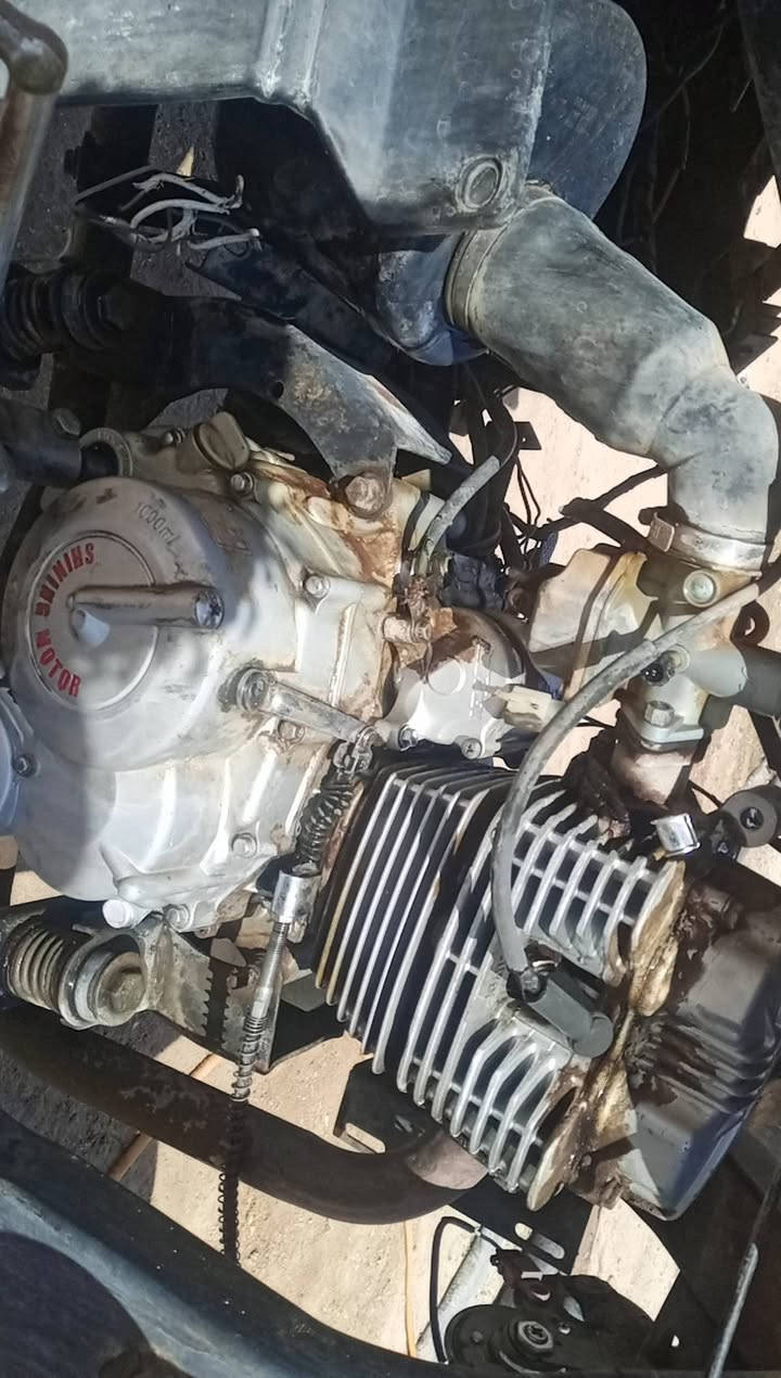 ستوته جمره فحل موديل 2019 اللبيع اوراق اصولي بسمي العنوان كربلاء  على طريق كربلاءنجفعمود 842  السعر على  خاص الشراي يتصل...✅ على الرقم التالي***********
