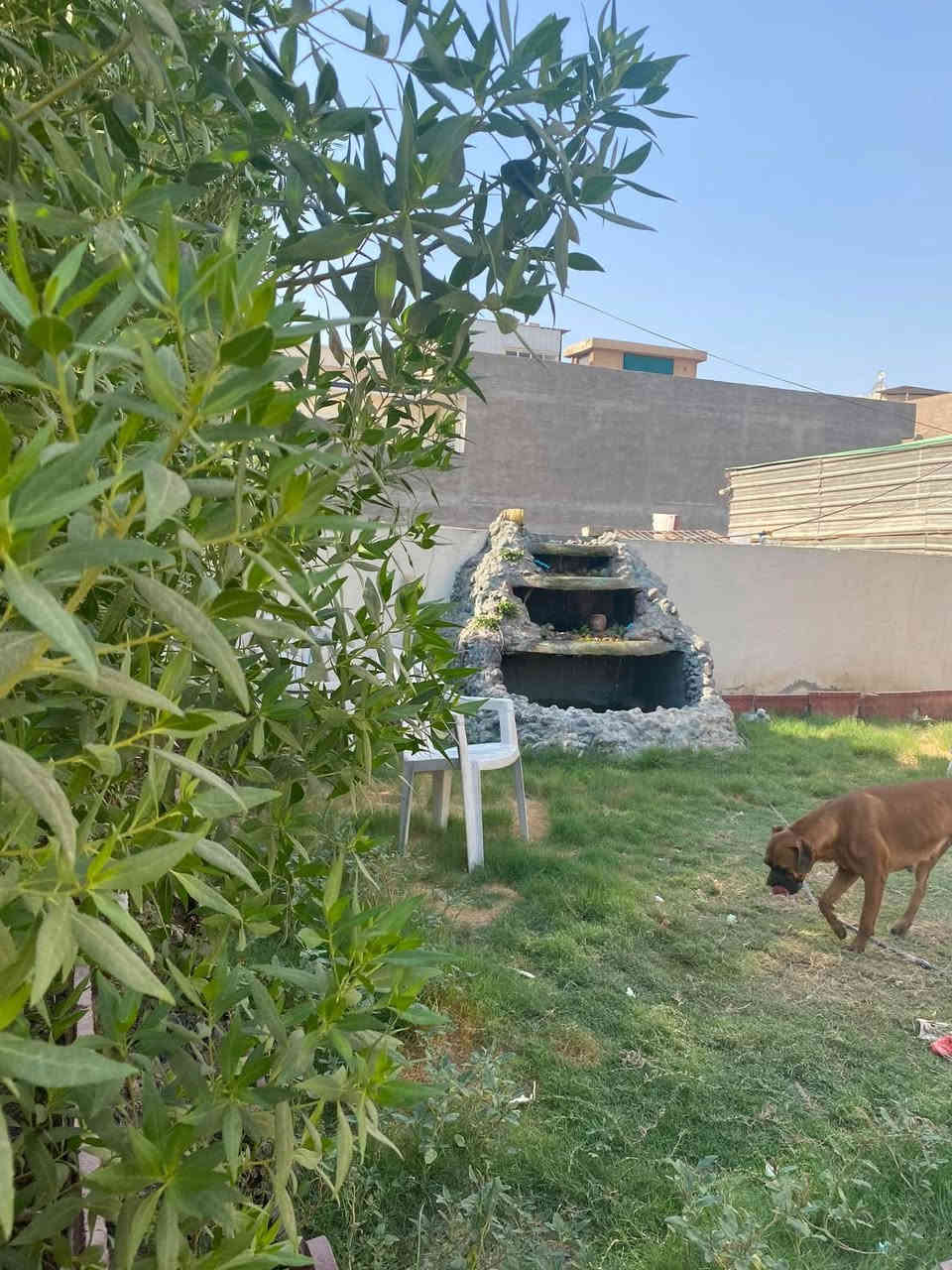 بيع مستعجل بسعر ارض
بيت 300 م واجهة 10 و نزال 30 بمربع الطاقة الغزالية  بشارع زيادمول للازياء النسائية والبيت عليه برج شركة زين نستلم ايجار  مال سطح فقط من الشركة 7 مليون + كهرباء مجاني 24 ساعة 18 امبير  البيت بناء قوي جداً مال الثمانينات  يخلص العقد بعد سنتين وتريد تجدده تريد تلغيه بكيفك .. عرض الشارع ويه الارصفة ١٥م يعني الشارع ١٠ م .. 

بيع مستعجل ٦٣٠ وبي مجال 

للاتصال / ***********

ابو سعد 

ما متواجد على الفيس اتصل وتس او اتصال ..
