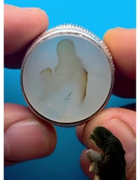 نوادر يماني • طبيعي • محابس