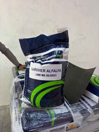 جت أمريكي جملة فقط 07749095779