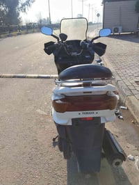 ماجستا • ياباني • خاص