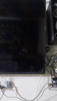 حجم ٧٥ ناطقة انترنيت البيع بكاني كربلاء حي الحر *********** ***********
