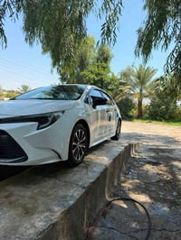 كورلا خليجي • بعقوبه • ٢٠٢٤