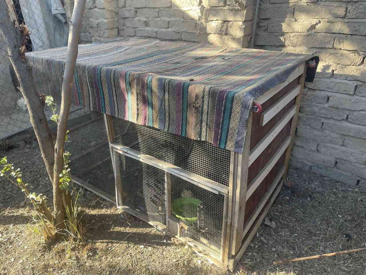 سلام عليكم قفص طيور أو دجاج ما بي اي خلل قاعدة تايرات تنقل سهل سعر 75وبي مجال.   للتواصل ***********
