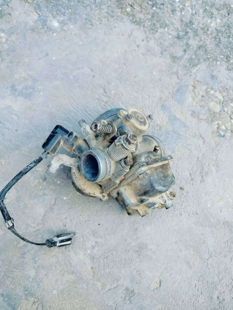 السلام عليكم
شباب عندي ذني كابريته مال ماكس شرط نضافه ع الفحص 
والثاني مال فراشه هم شرط ع فحص ومال حاويه السعر خاص او الاتصال ع الرقم
***********
