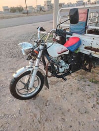 وبركاته ستوته للبيع فحل نضيفه ويل گدام جديد تاير جديد الشاصي شرط محرك ...