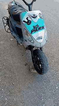 دراجة ماكس منغولي • بوشة ٥٥ • حربية