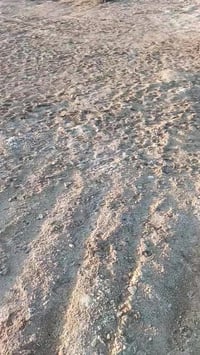 مشنه • ٣ دونم • على الشط