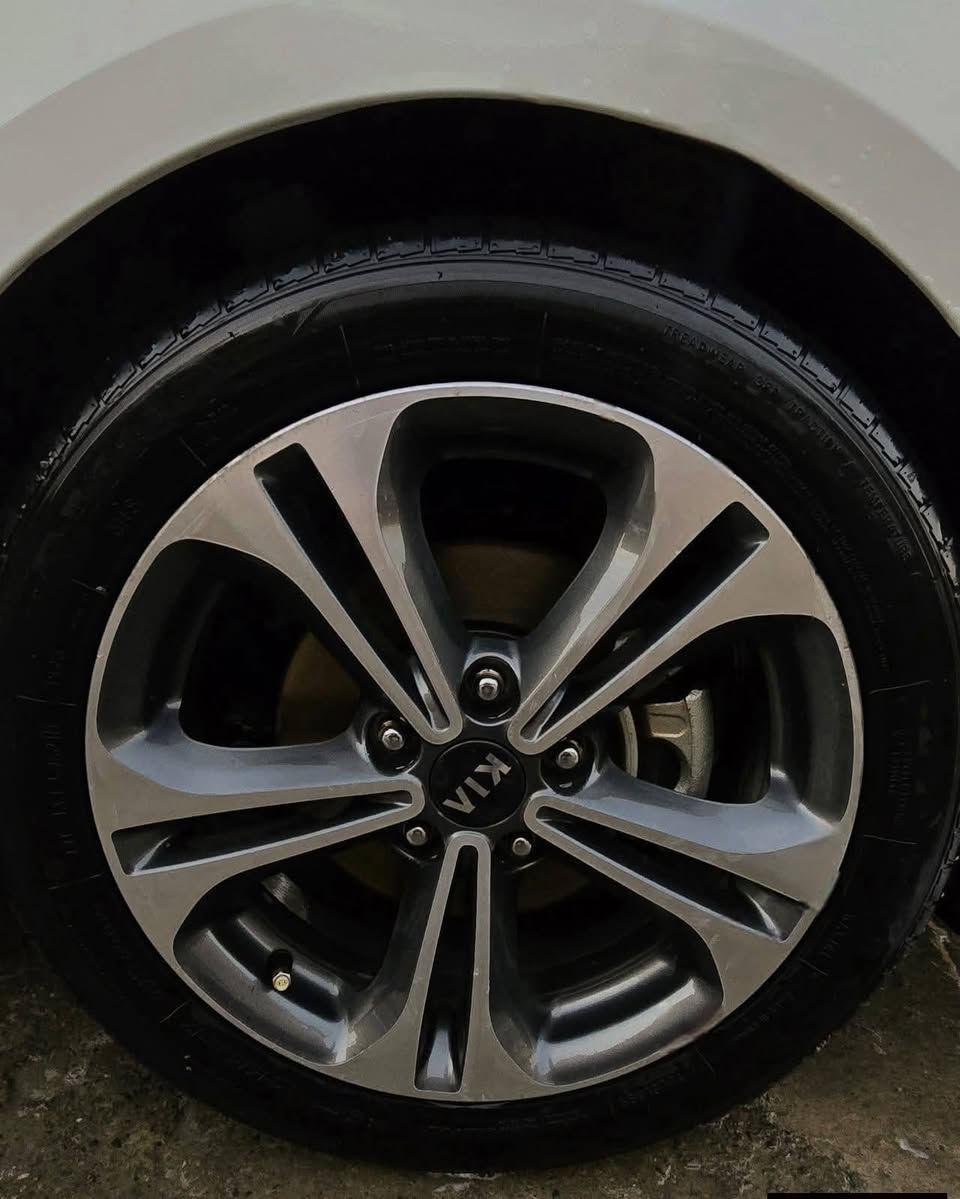 السلام عليكم 2014 كفالة عامة من الصبغ وكلشي 
فول فول فول 1/1 vip رقم اربيل قديم

4 بصمة فتحه ترحيب شاشات حساسات شفتات رياضه رادارات
مكاني نجف الروان 
***********
