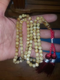 بولوني طبيعي • ١٠١ حبة • ٧.٥ ملم