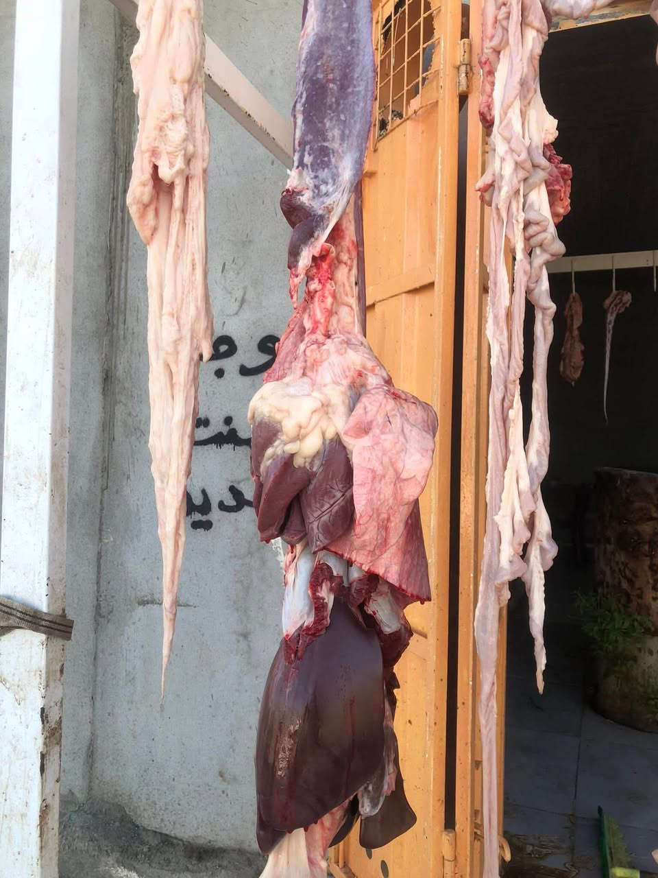 الان تم الذبح  بتاريخ 2026/7/4 السبت لحم عراقي راقي شرط مال الديرةالعنوان قرية النعناعة الشارع العام مقابل ساحة عبدالكريم للتواصل و الاتصال ع الارقام 
***********
 ***********
بادارة ساجر القصاب 

‎
