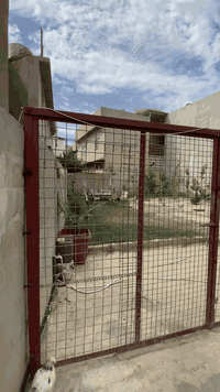 ١٠٤م • القوسيات • واجهة ٨٫٥م