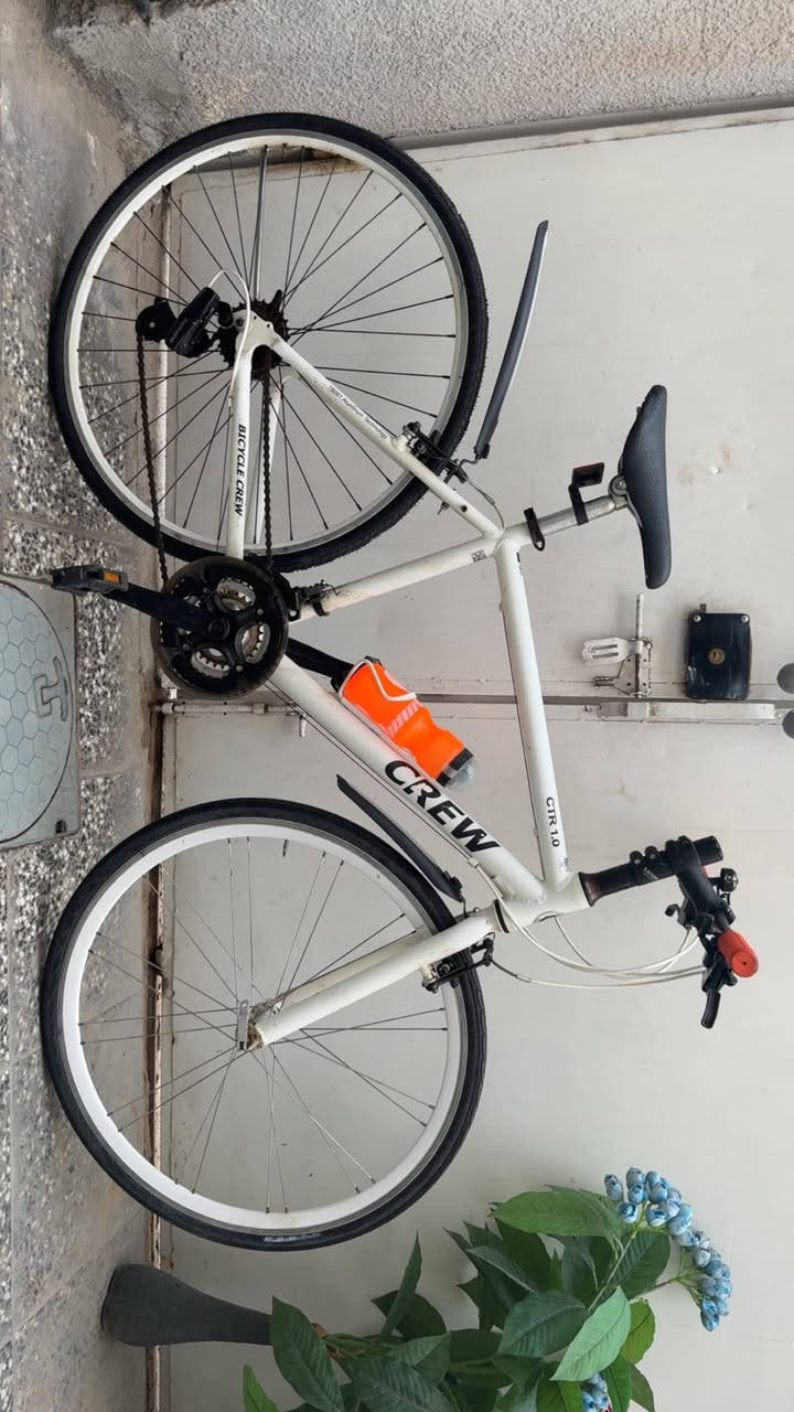 🚴‍♂️ بايسكلات C700 + جبلي GT المنشآ ياباني ....
⚡ حجم : ابيض 28
⚡ حجم : جبلي 27.5
⚡️ المعدن : المنيوم
⚡ باله أصلي كسر حاوية
⚡كير (7x3) نمره سحب دفع شيمانو اصلي
⚡️الحالة : جاهزات ونضيفات جداً
📞 للاستفسار : *********** واتساب
⛳️ العنوان : بغداد - الحرية

