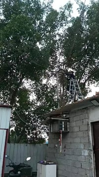 من رخصت الادمن كادرنا متخصص بتنضيف وتصفيه المولدات وترتيب الوايرات بدو...