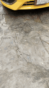 نيسان فيرسه • ٢٠١٩ • قير اوتوماتيك