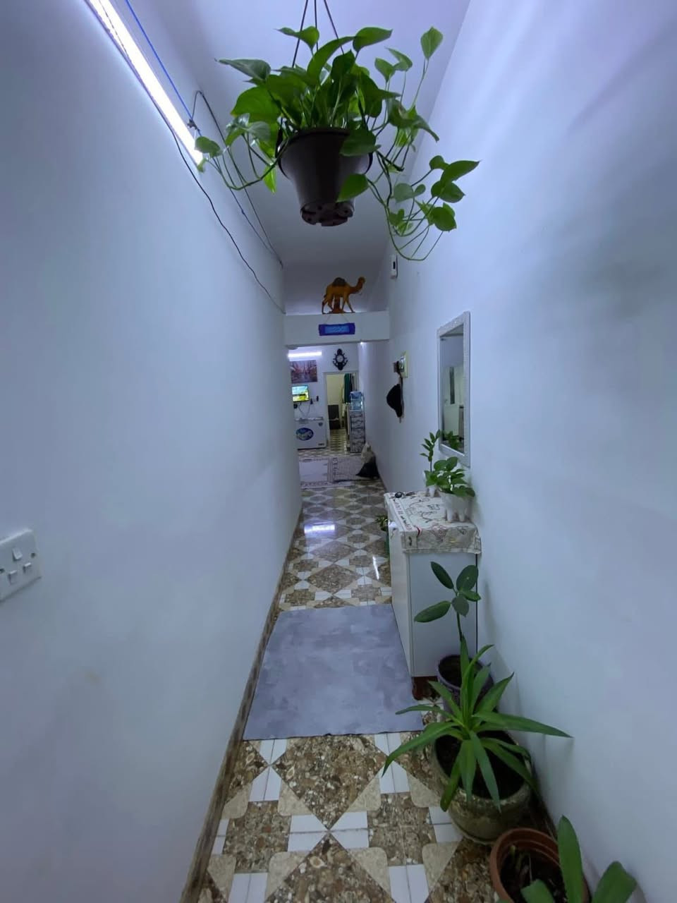 دار للبيع 100 متر طابقين معزول يصلح لعائلتين طابو ملك صرف في منطقة حي العسكري خلف التجاري قرب جامع الهجرة 
السعر : 88 مليون وبي مجال ( بي مجال ومعامله مباشر ويا صاحبه 
***********
