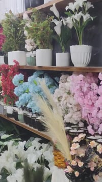 حاجیاوا • تزيين حفلات • شەقامی زێڕنگران