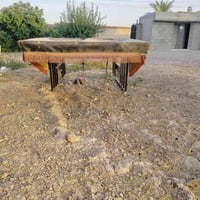 محجل