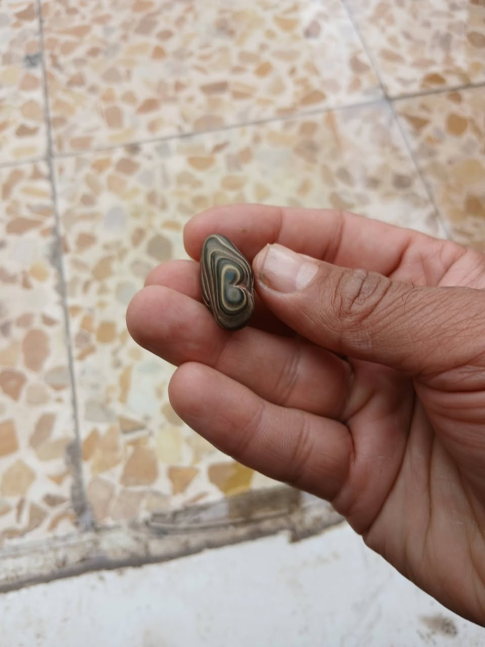 السلام عليكم عندي هاي الاحجار المهتم ويريدهن يراسلني ادزله بعد صور


**إذا كنت صاحب هذا الإعلان وتريد حذفه لأي سبب، رجاءا أرسل رسالة إلى الدعم الفني**