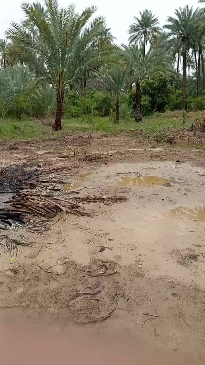 قطع للبيع طابو زراعي سند 25 حسب الطلب تصلح سكن ومزارع خدمات قيد الانجاز ماء وكهرباء  وتبليط وخط مولد وإنارة ويوجد ماء نهر السعر 100م  13 مليون بعقوبة جبينات مدخل مشروع الماء بعد الجامع للاستفسار خاص او ***********ه
