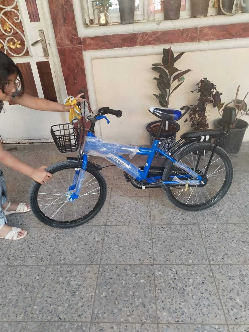 سلام عليكم باسكل للبيع سعر 50 بي مجال مكان بغداد بياع رسالة


**إذا كنت صاحب هذا الإعلان وتريد حذفه لأي سبب، رجاءا أرسل رسالة إلى الدعم الفني**