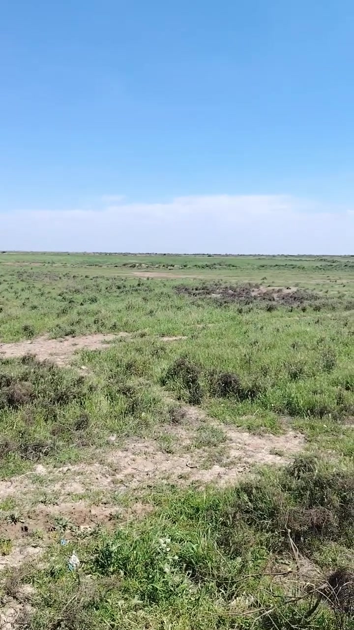 سلام عليكم كاع زراعيه للبيع ملك بيه تلث بيوت ملك ولبقيه اجار كاع خير من الله المكان العماره منطقت البتيره ***********
