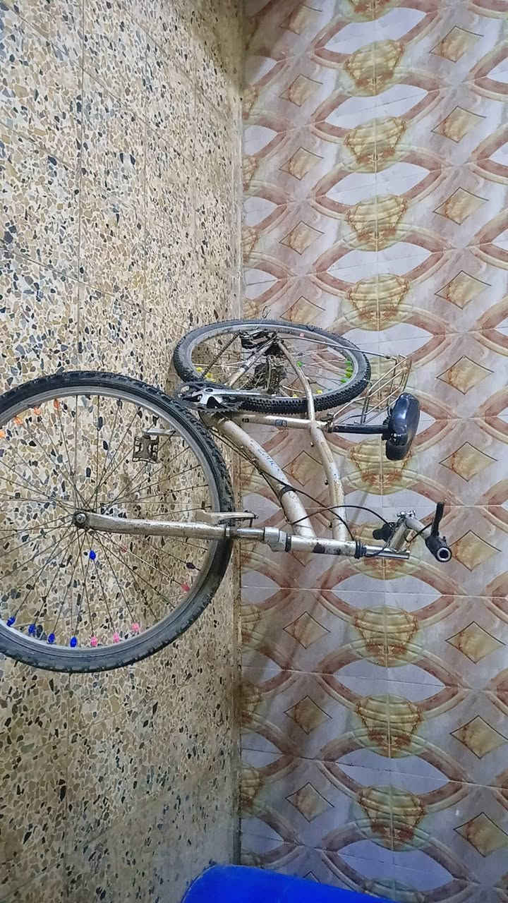 باستكل نضيف شرط كلو جديد مكان ايمن


**إذا كنت صاحب هذا الإعلان وتريد حذفه لأي سبب، رجاءا أرسل رسالة إلى الدعم الفني**