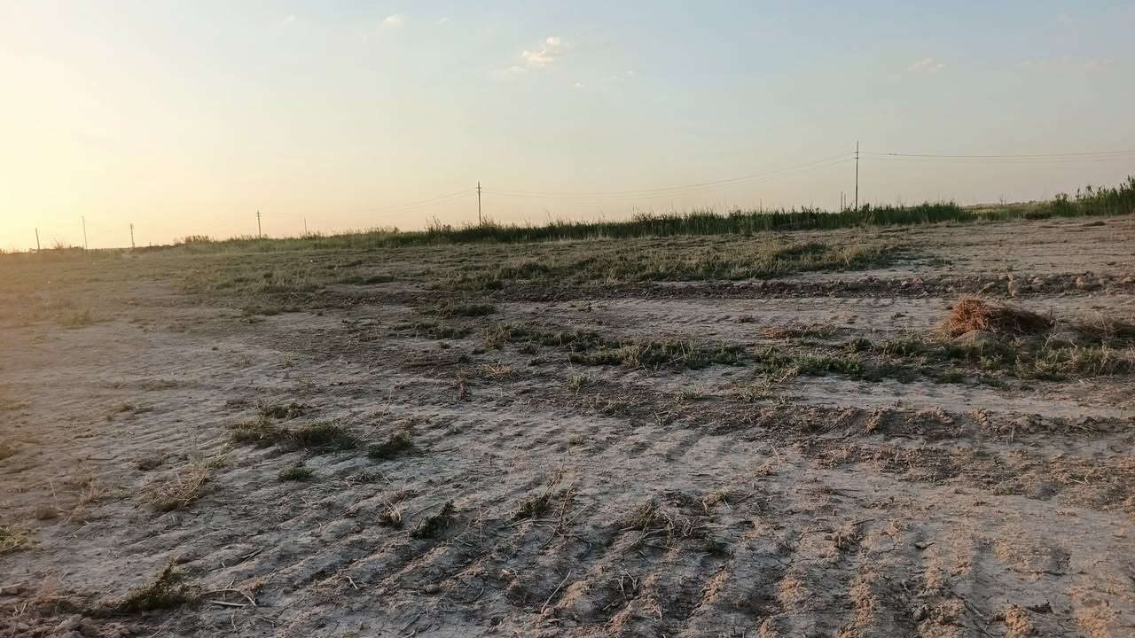 يا الله سلام عليكم البيع دونم وقف
العنوان المدائن منطقة كصيبه قرب مطعم حجي زوين
بيع حسب الطلب  نص دونم او دونم او دونمين
الاستفسار اتصال برقم ***********
ملاحظة بسعر مناسب جدا
