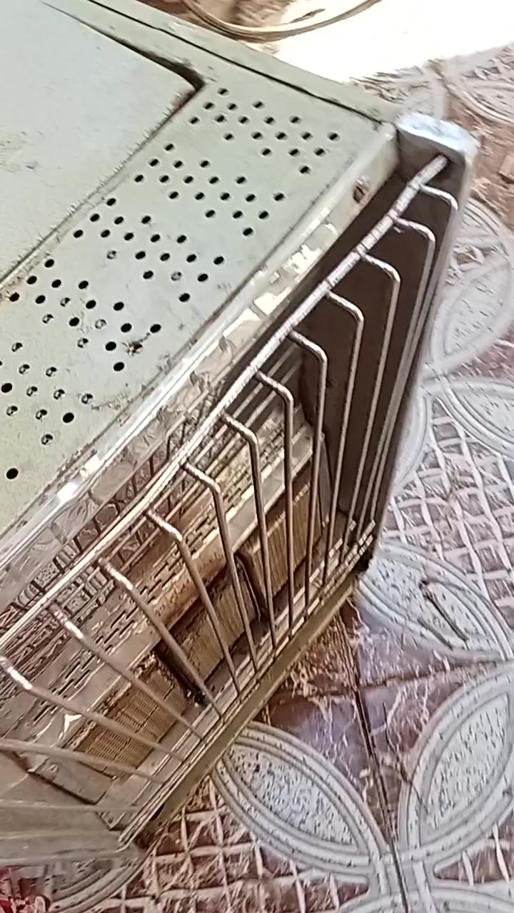 للبيع حله جمجمة


**إذا كنت صاحب هذا الإعلان وتريد حذفه لأي سبب، رجاءا أرسل رسالة إلى الدعم الفني**