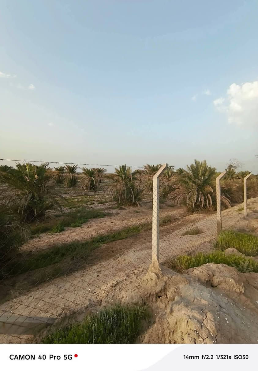 اضمن لك دونم على طابو الكاظميه وخلي اولادك يدعولك باجر
عرض اليوم ارض المساحه دونمين بستان موقعهه التاجي _سبع البور_منطقةالبصام مسيجه وبيهه نخل كما موضحه طابو زراعي على طابو الكاظميه سند 25 موقع ممتاز واجهه الدونم 40 والنزال 60 متوفر خدمات كامله من ماء وكهرباء واسالة وبنص السكن والمدارس قريبة عليهه والمزارع والشاليهات سعر الدونم مناسب جدا  لاهلنا وناسنا للاتصال والاستفسار عبر

 الرقم:*********** متوفر واتساب
