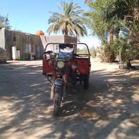 ستوته • ستوته للبيع • ستوته شغاله