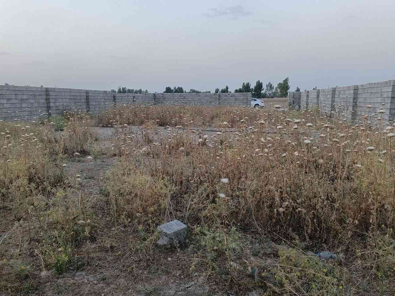 السلام عليكم قطعة ارض زراعي للبيع المساحة 660 متر
العرض 17 العمق 38 ونص
الموقع// حي بدر فرع مول حسين تمشي مسافة تعبر الملعب القطعة ع اليسار
للأستفسار 📞 ***********
