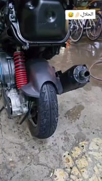 ماكس منغولي • معدل • فول