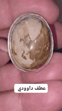 ابو حسنين الياسري ***********
