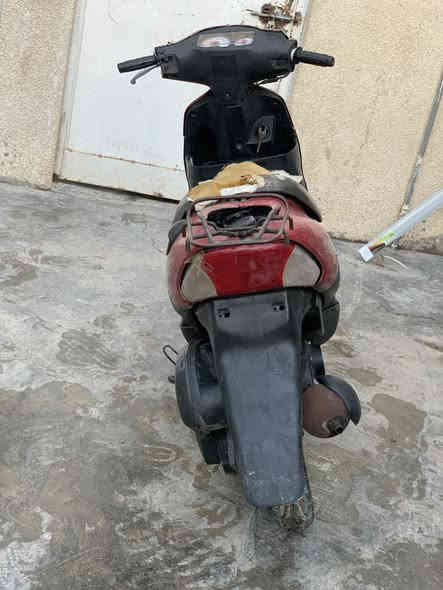 سلام عليكم عندي هاي الساسوكي خفاش سرعه ٦٠
دراجه حلوه وناعمه وشلعتها حلوه ماناقصها اي شي فقط السلف ميشتغل حاليا هندر واحد تشتغل عارضها ١٥٠ وبيها مجال مكاني بغداد***********
