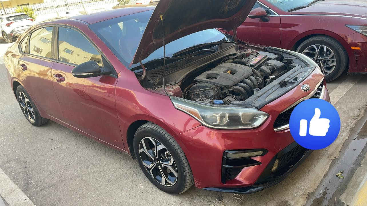 البيع مديل 19/ ***********
