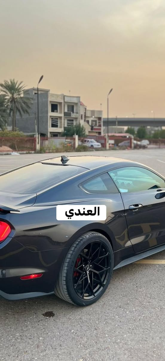 ويل ماك وان تو سايز
مراوس بغير نقشه او مثل الي ب صورة


**إذا كنت صاحب هذا الإعلان وتريد حذفه لأي سبب، رجاءا أرسل رسالة إلى الدعم الفني**