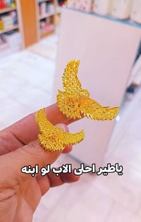 محبس برازيلي • ابو الطير