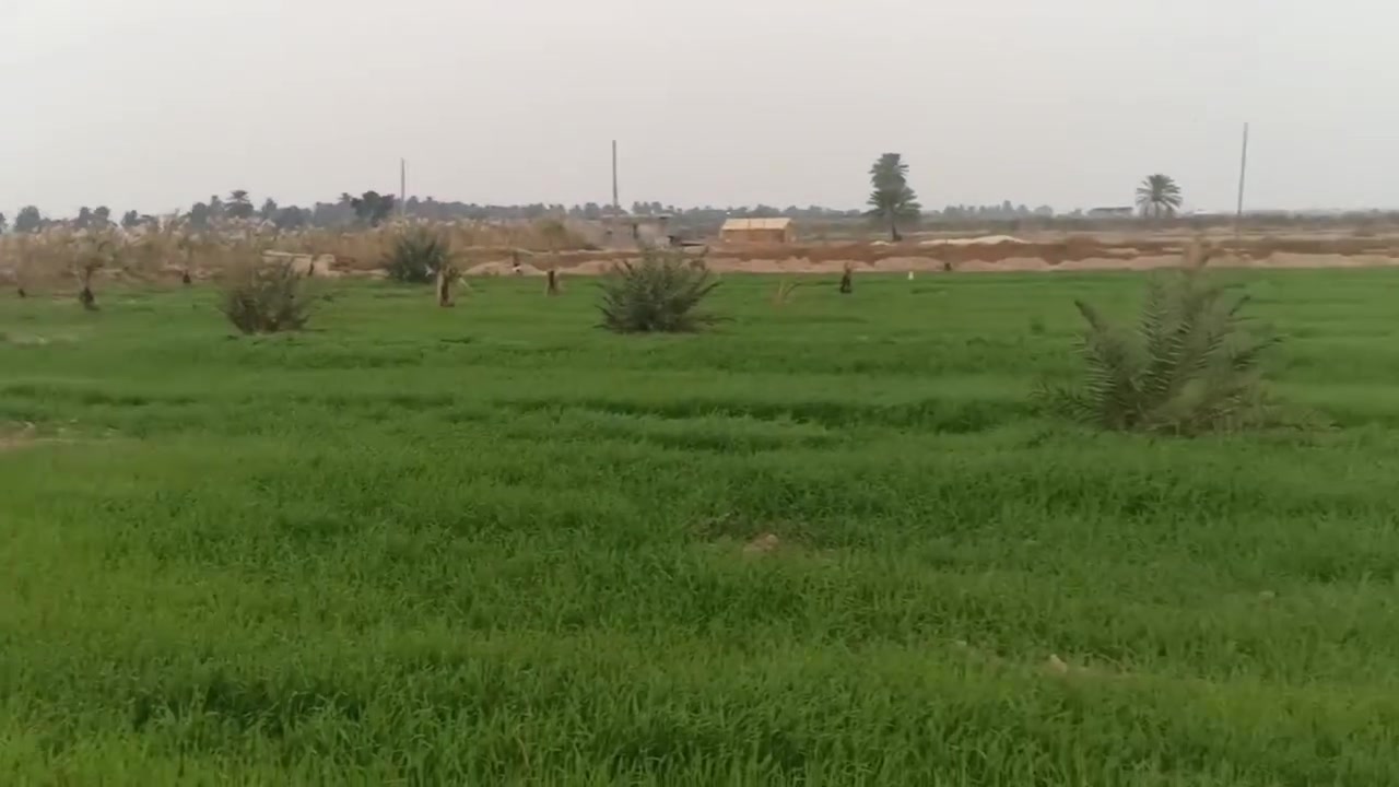 سلام عليكم ١٠ دونم للبيع ميسان طبر نزلت العلويه الحراكه على جرف شط سند ٢٥ طابو تحويل مباشر بسم شراي لستفسار***********
