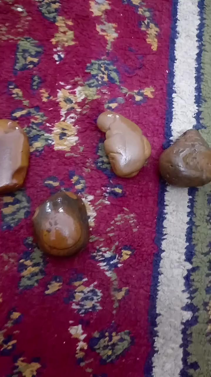 ملاكط عراقي بسعر مناسب
***********
