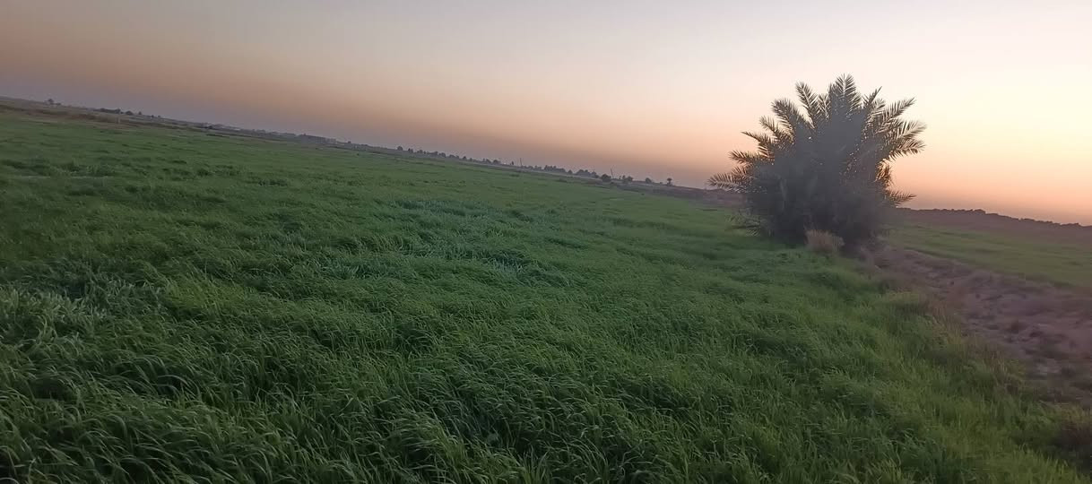 سلام عليكم  لواح زرع للبيع لمايشتري لا يعامل رقم ابو لكاع ‏‪+9647817907576‬‏


**إذا كنت صاحب هذا الإعلان وتريد حذفه لأي سبب، رجاءا أرسل رسالة إلى الدعم الفني**